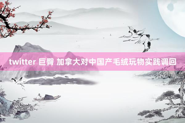 twitter 巨臀 加拿大对中国产毛绒玩物实践调回