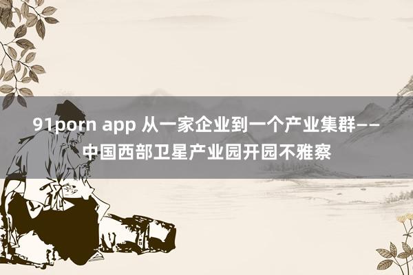91porn app 从一家企业到一个产业集群——中国西部卫星产业园开园不雅察