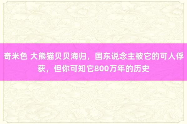奇米色 大熊猫贝贝海归，国东说念主被它的可人俘获，但你可知它800万年的历史