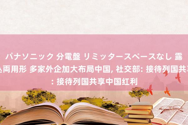 パナソニック 分電盤 リミッタースペースなし 露出・半埋込両用形 多家外企加大布局中国， 社交部: 接待列国共享中国红利