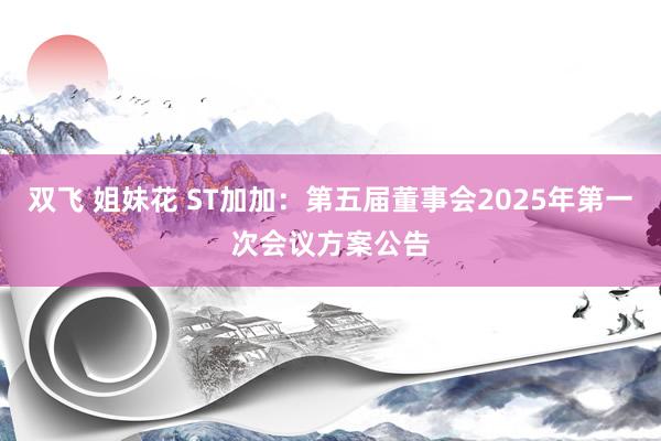 双飞 姐妹花 ST加加：第五届董事会2025年第一次会议方案公告