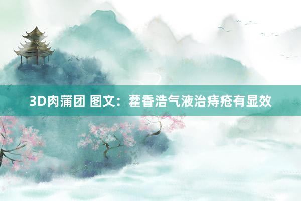3D肉蒲团 图文：藿香浩气液治痔疮有显效