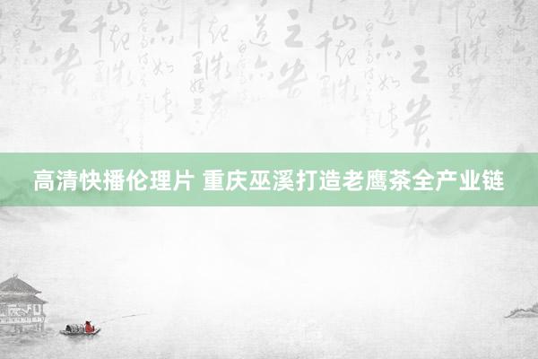 高清快播伦理片 重庆巫溪打造老鹰茶全产业链